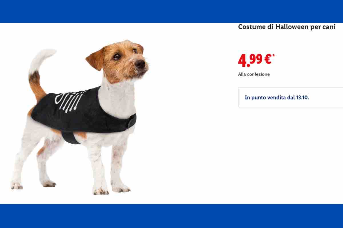 Costume per cani