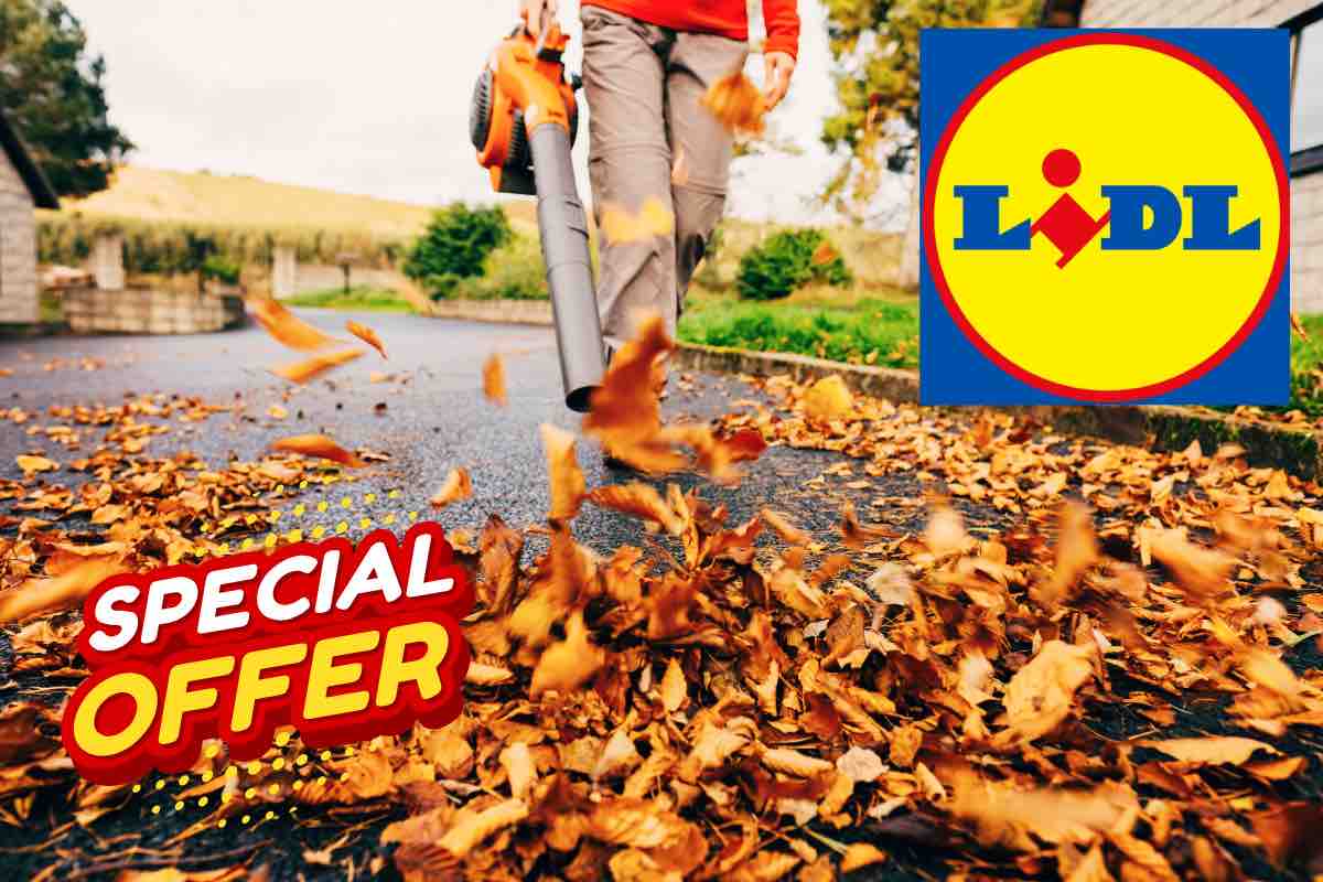 Offerta