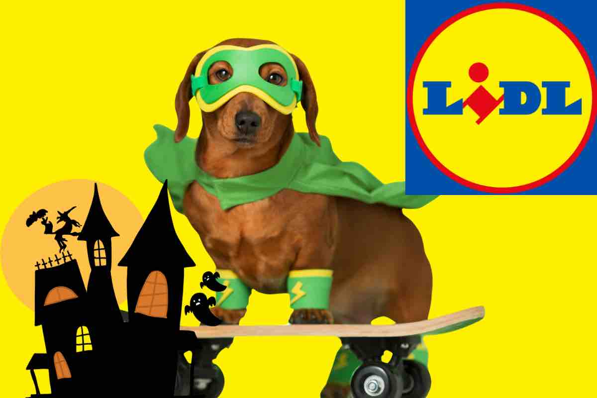 Costume per Halloween