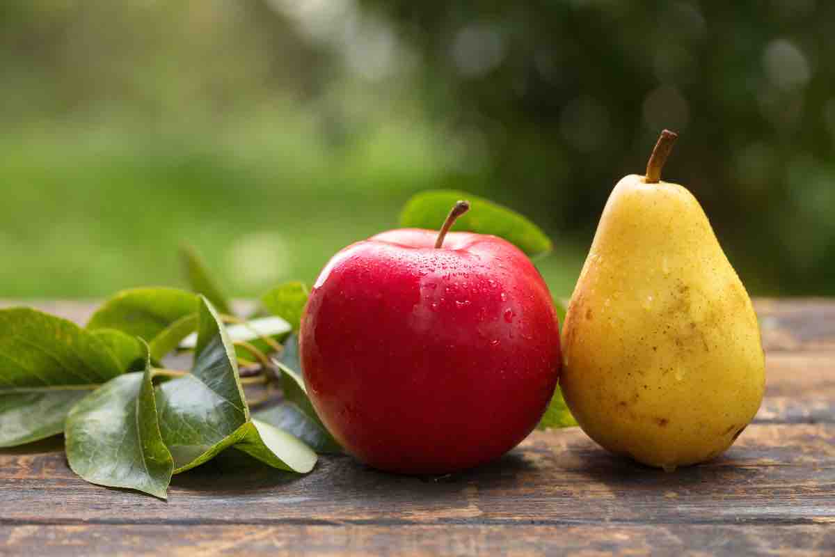 Frutta autunnale